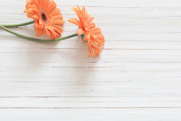 Flores de gerberas en la mesa de madera — Foto de Stock