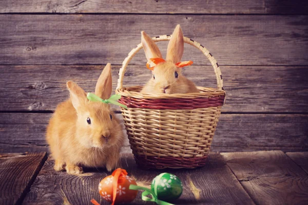 Kaniner med påskägg på trä bakgrund — Stockfoto
