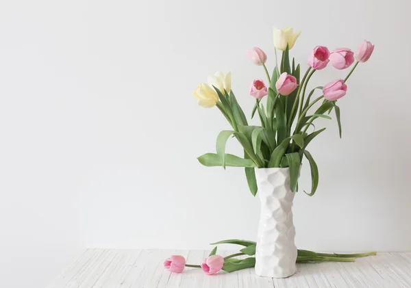 Tulipas em fundo branco — Fotografia de Stock