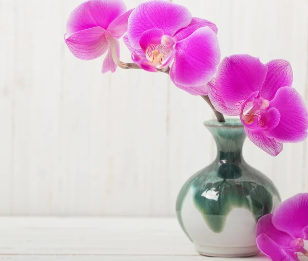 Orchid flowers in vase on a wooden table — Stock Photo, Image