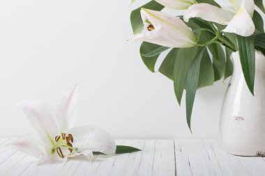 sürahi beyaz arka plan üzerinde Lily