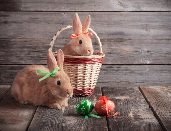 复活节彩蛋上木制背景兔 — 图库照片