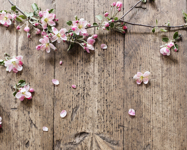Flores de manzana sobre fondo de madera — Imagen de stock Flores de manzana sobre fondo de madera Imágenes De Stock Sin Royalties Gratis