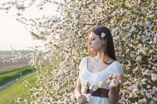 küçük tavşan açık kırmızı