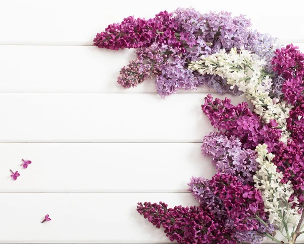 The beautiful lilac on a wooden background — Stock Photo, Image