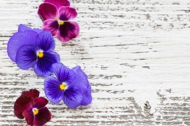 eski ahşap arka plan üzerinde mor çiçekler