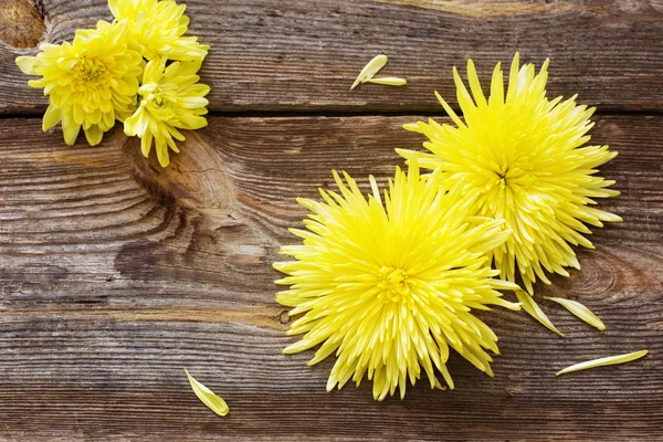 Blumen auf Holzgrund — Stockfoto