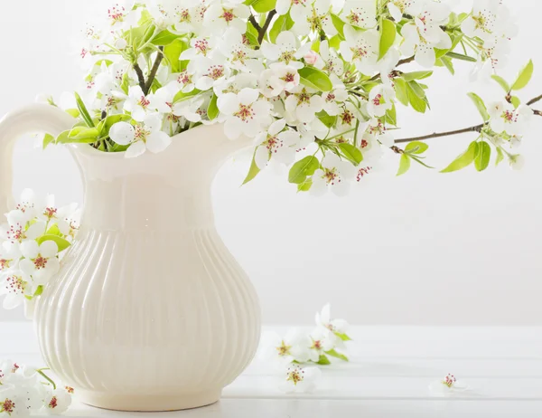 흰색 바탕에 체리 꽃 — 스톡 사진