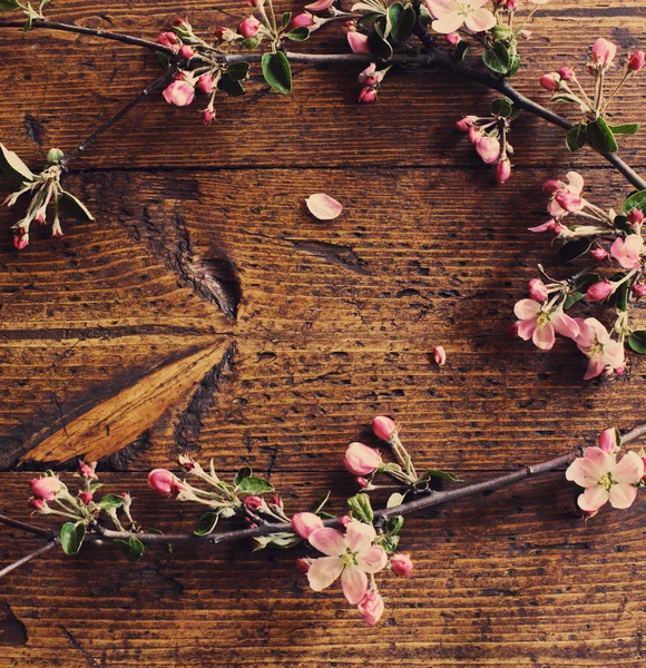 Jabłko kwiaty na drewniane tła — Zdjęcie stockowe