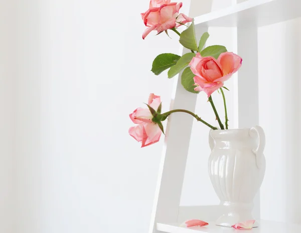 Bouquet of roses in vase on white background — Stock Photo, Image