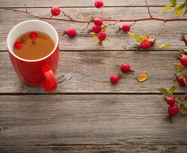 Чашка чая с тазобедренными розами, на деревянном столе — стоковое фото