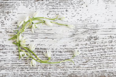 kardelen ahşap tablo