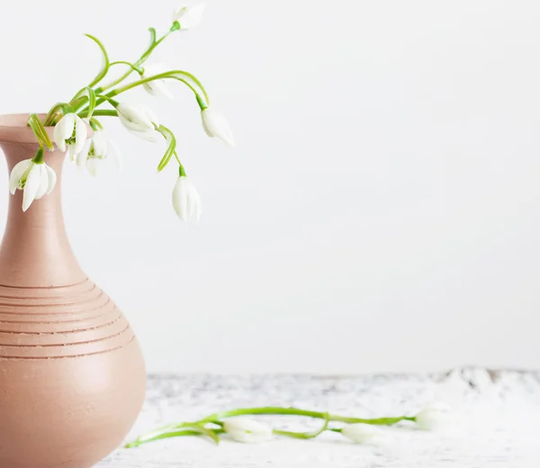 Sneeuwklokjes in vaas op een witte achtergrond — Stockfoto