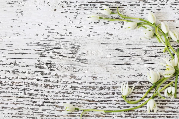 Schneeglöckchen auf Holztisch — Stockfoto
