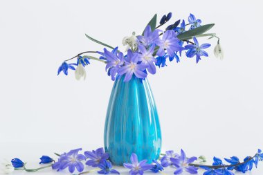 mavi çiçekler bahar