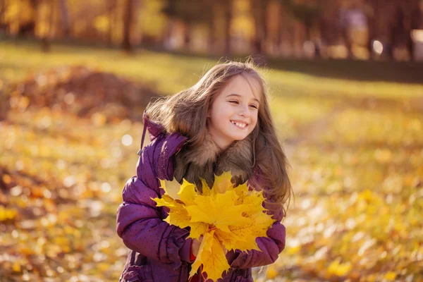 Menina feliz com folhas de outono — Fotografia de Stock