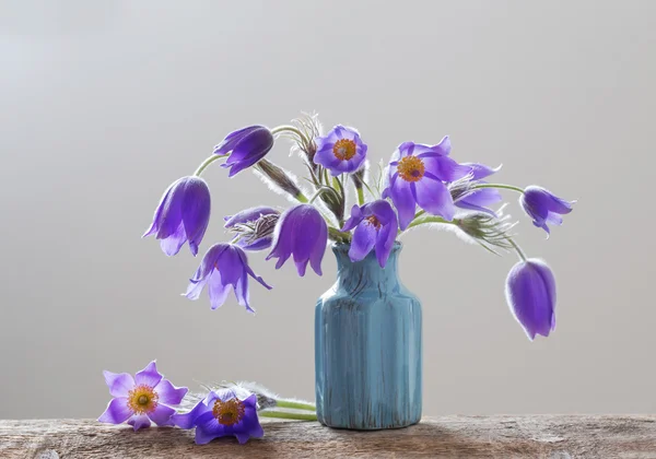 Beyaz arkaplanda bahar çiçekleri — Stok fotoğraf