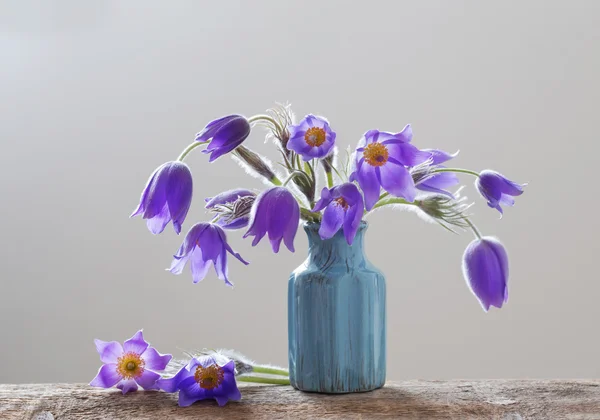 Flores de primavera sobre fondo blanco — Foto de Stock