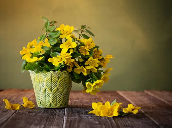 Натюрморт с желтыми цветами — стоковое фото