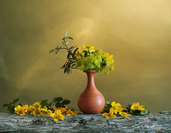 Natureza morta com flores amarelas da primavera — Fotografia de Stock