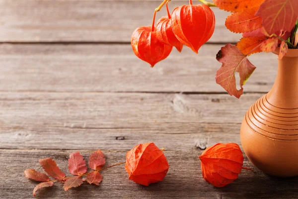 Still life with red physalis — Stock Photo, Image