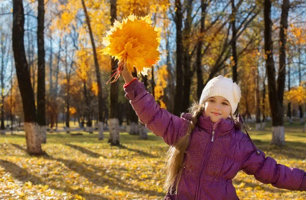 Chica feliz con hojas de otoño —  Fotos de Stock