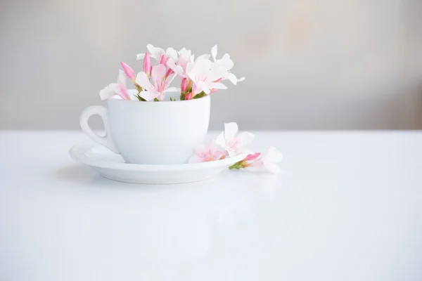 白いカップに花のある静物 — ストック写真