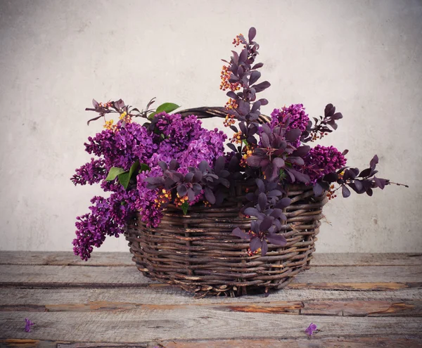 装着一枝淡紫色花的篮子 — 图库照片
