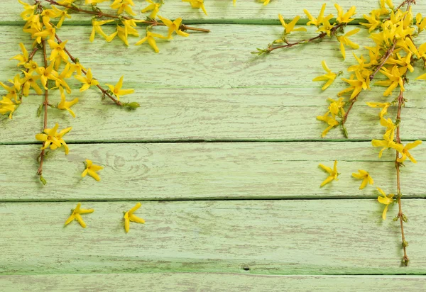 Frühling gelbe Blumen auf altem grünen Holzgrund — Stockfoto