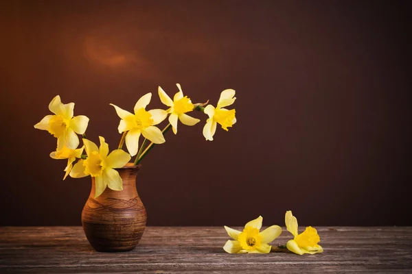 Daffodil in vase on brown background — Stock Photo, Image