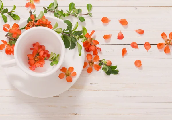 Nature morte avec des fleurs en tasse blanche — Photo