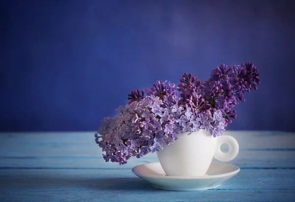 Natureza morta com um ramo florescente de lilás — Fotografia de Stock