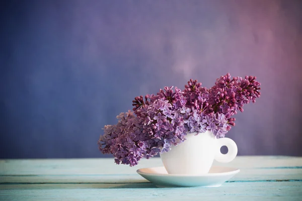 Still life with a blooming branch of lilac — Stock Photo, Image