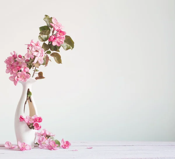 美丽成熟的苹果和分支在上白色的花瓶 — 图库照片