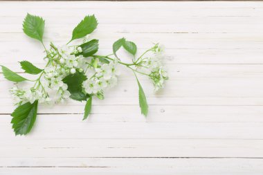 Tahta arka planda beyaz çiçekler