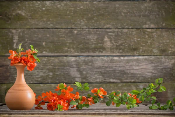 Czerwony wiosennych kwiatów na podłoże drewniane — Zdjęcie stockowe