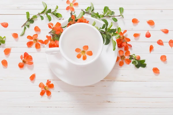 Beyaz Kupası'nda çiçekli natürmort