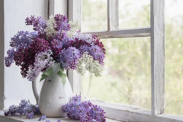 Blooming branch of lilac at the window — Stock Photo, Image