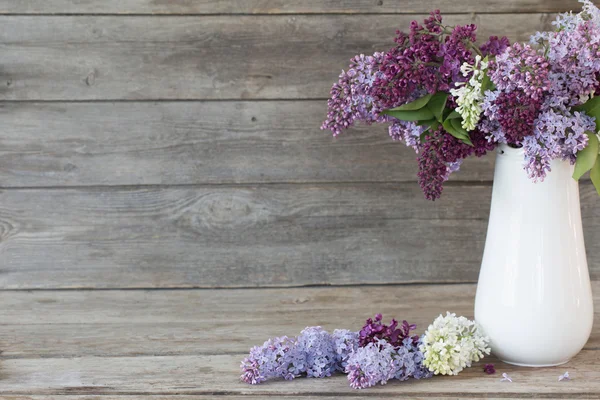 Stilleben med en blommande gren av lila — Stockfoto