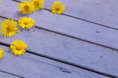 Ahşap arkaplanda çiçekler