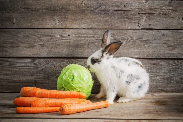 Petit lapin aux légumes sur fond bois — Photo