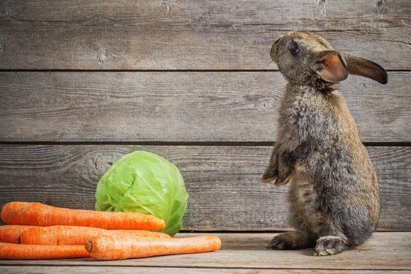 stock image funny rabbit with vegetables on wooden background