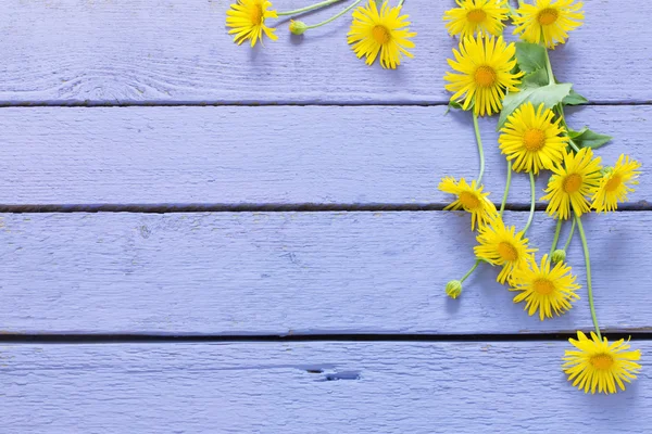 Flores sobre fondo de madera —  Fotos de Stock