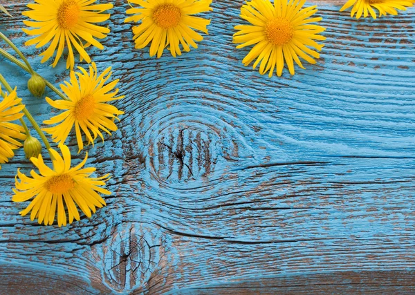 Flores sobre fondo de madera — Foto de Stock