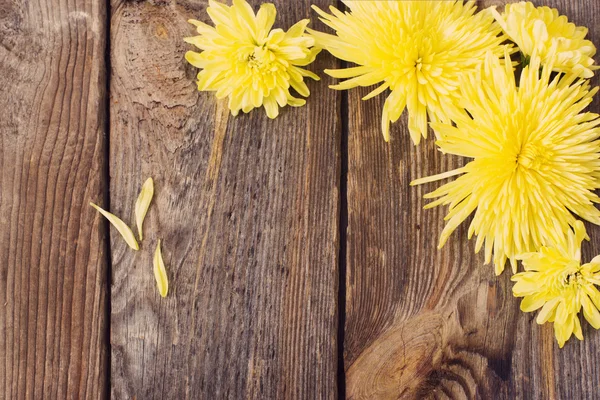 Chrysanthemen auf hölzernem Hintergrund — Stockfoto