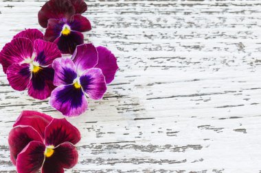 eski ahşap arka plan üzerinde mor çiçekler