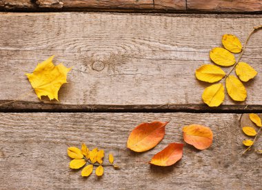 Ahşap arka planda sonbahar yaprakları