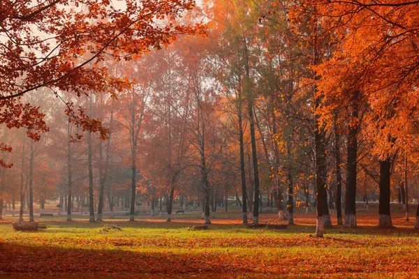 Bela paisagem de outono ensolarado — Fotografia de Stock