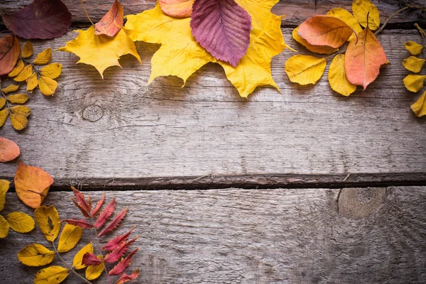 Autumn leaves over wooden background — Stock Photo, Image