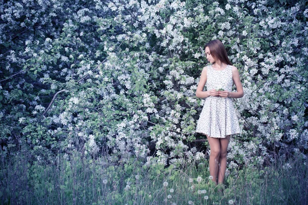 Bella ragazza nel giardino primaverile — Foto Stock